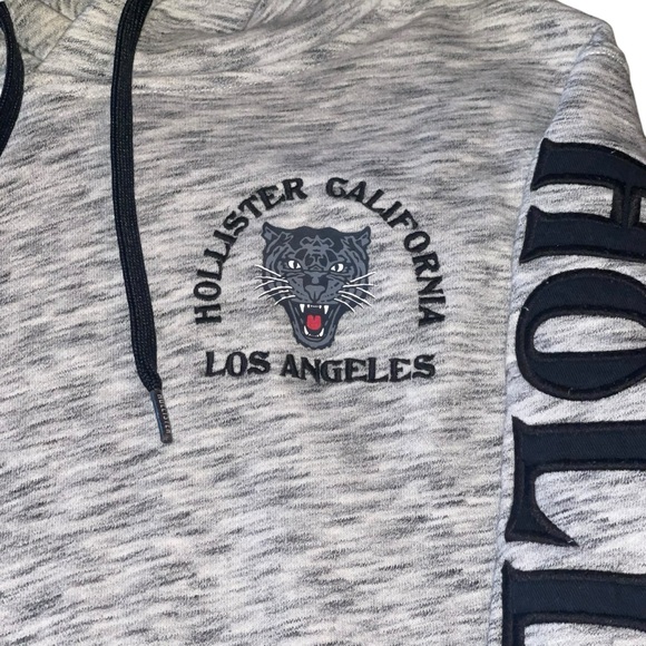 Hollister California Panther Los Angeles Men’s Hoodies Size Small Grey Blue VTG - Picture 4 of 7